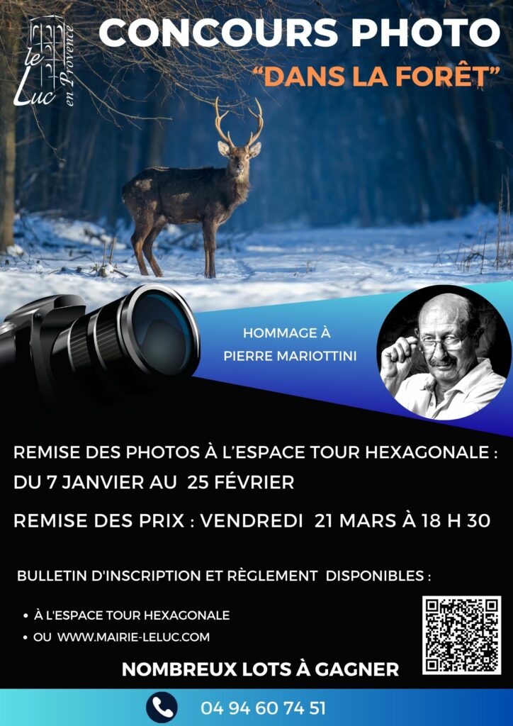 Du 7 janvier au 25 février – Lancement du concours photo « Dans la forêt »